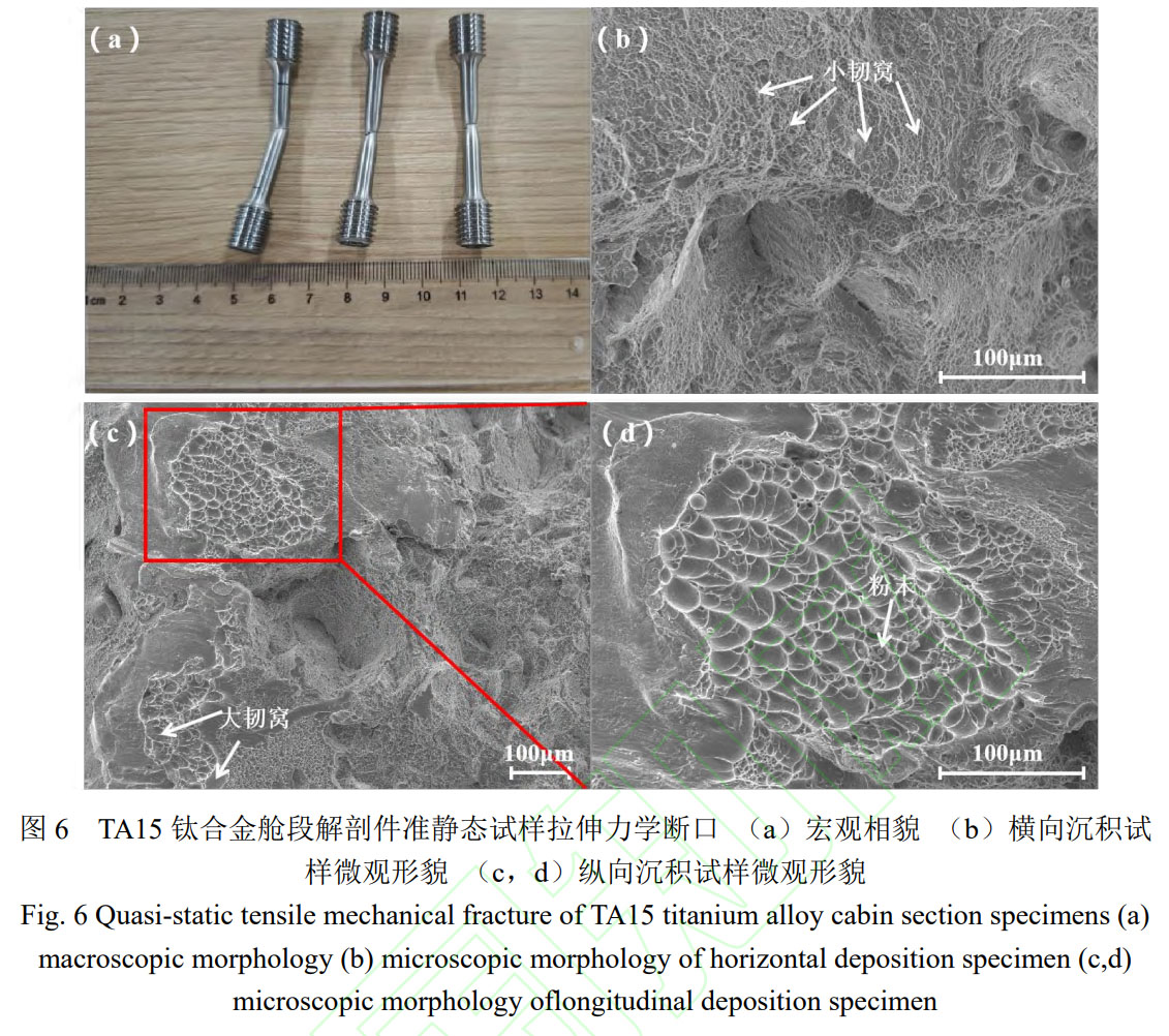 1762342165455781.jpg 未標(biāo)題-2.jpg
