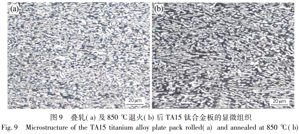 1765165118110751.png 截圖20251208113623.png