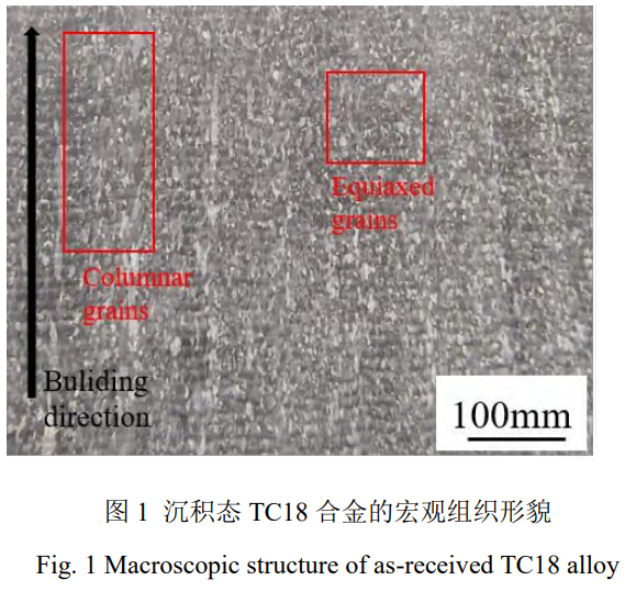 1765855528293556.png 截圖20251216110440.png